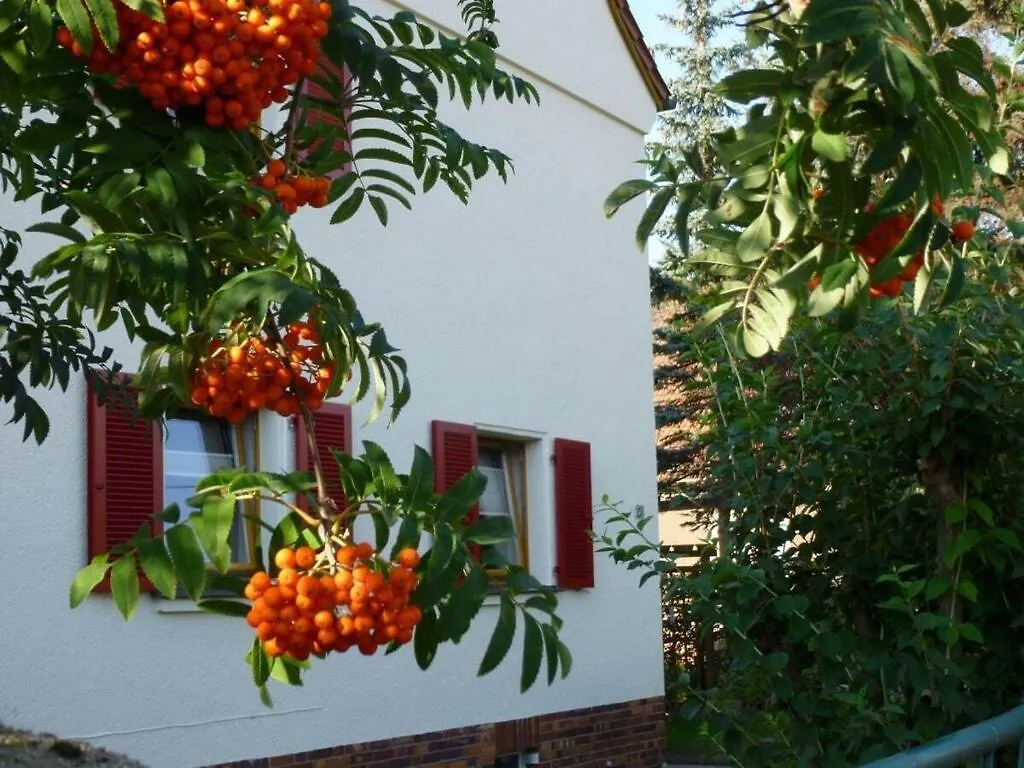 Wiete Lenk Comfortable Holiday Residence Drážďany Německo